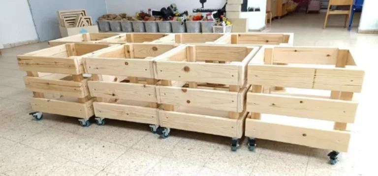 צילום מסך 2025-11-16 120859